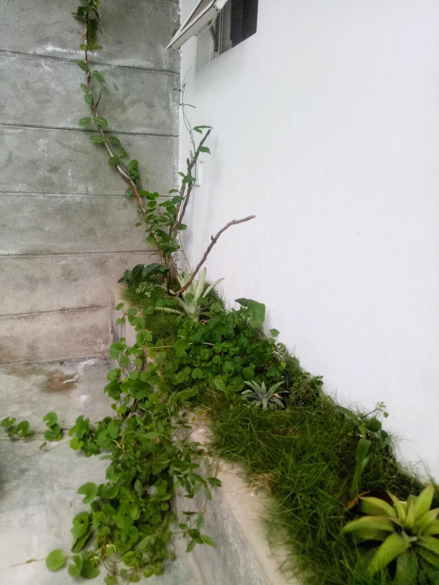 Ella Delightful Surround Homestay מראה חיצוני תמונה